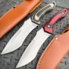 9" Survival Outdoor Hunting Knife Fixed Blade W/ Wood Handle 1 9" Survival Outdoor Hunting Knife Fixed Blade W/ Wood Handle -BLADE ADDICT Sales IMG 2692