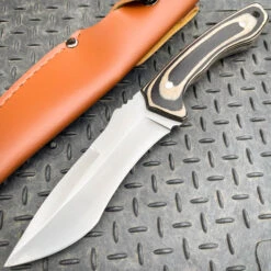 9" Survival Outdoor Hunting Knife Fixed Blade W/ Wood Handle -BLADE ADDICT Sales IMG 2693