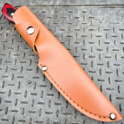 9" Survival Outdoor Hunting Knife Fixed Blade W/ Wood Handle -BLADE ADDICT Sales IMG 2700