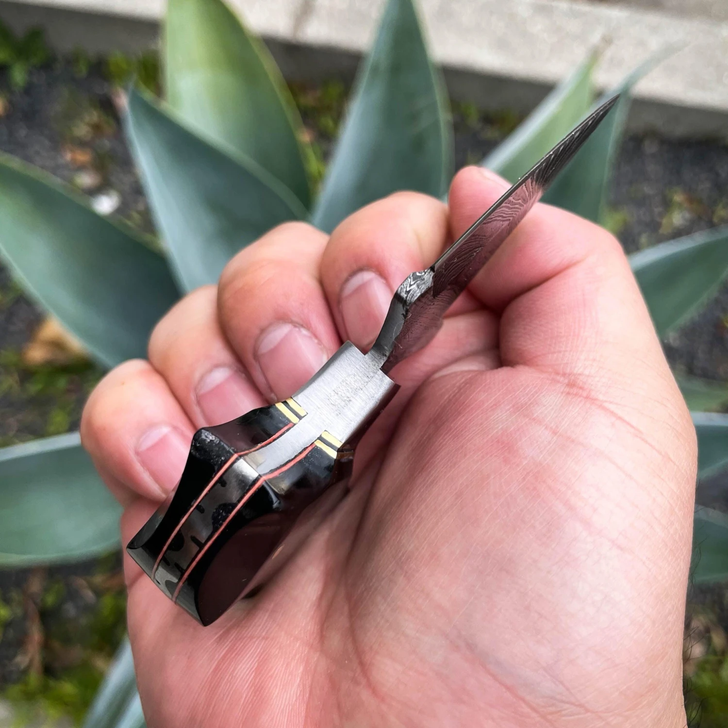 4.25" BLACK WIDOW PUSH DAGGER 6 4.25" BLACK WIDOW PUSH DAGGER - Image 4