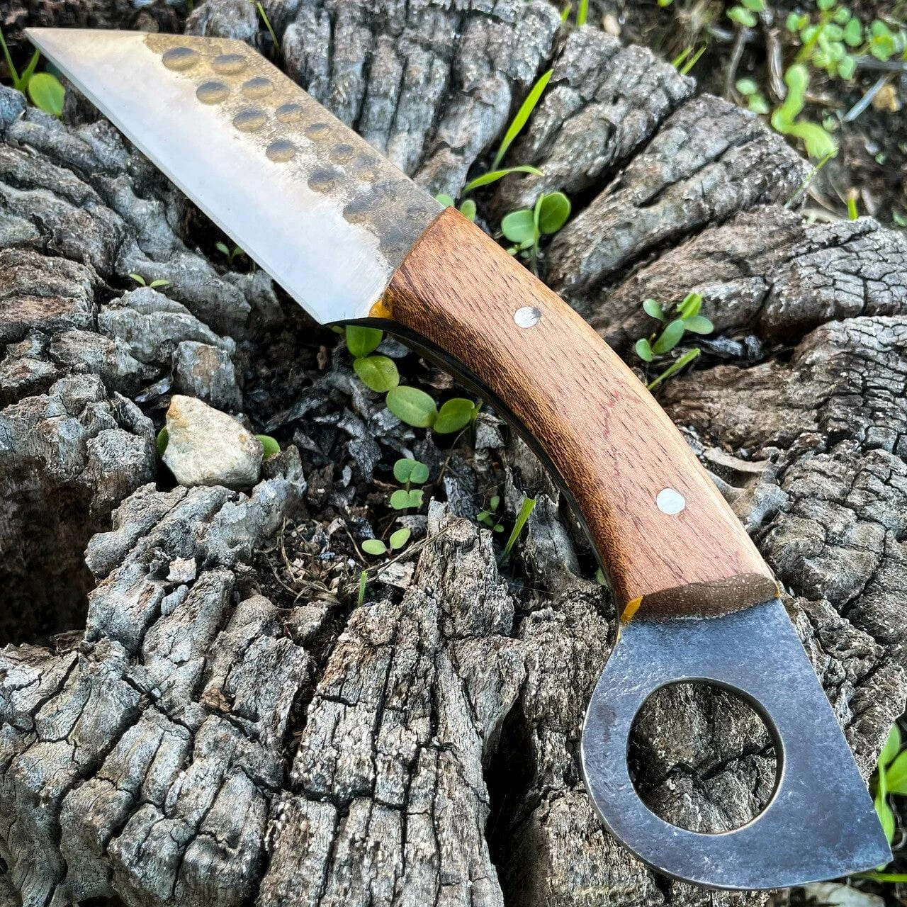 9.5" Hand Forged Ring Seax Carbon Steel Cleaver Hunting Knife Fixed Blade W Wood 5 9.5" Hand Forged Ring Seax Carbon Steel Cleaver Hunting Knife Fixed Blade W Wood - Image 3