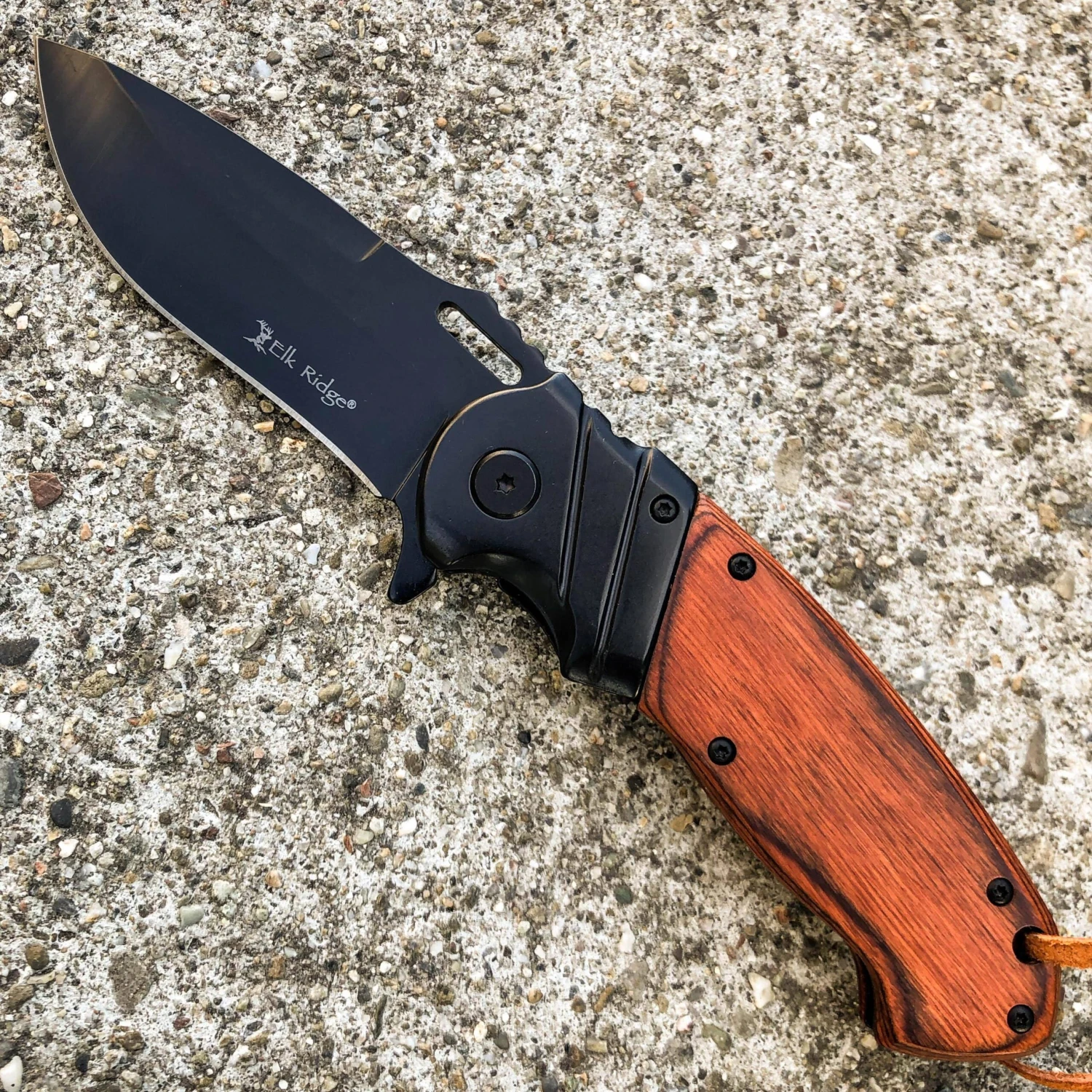 8.5" ELK RIDGE BLACK WOOD Gentleman SPRING ASSISTED OPEN Hunting Folding POCKET KNIFE 6 8.5" ELK RIDGE BLACK WOOD Gentleman SPRING ASSISTED OPEN Hunting Folding POCKET KNIFE - Image 4