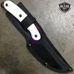 3 PC CSGO WhiteGalaxy Gut Hook Fixed Blade Bayonet Knife Karambit SET -BLADE ADDICT Sales bladeaddictknives csgo 3 pc csgo white galaxy gut hook fixed blade bayonet knife karambit set 1668441145371